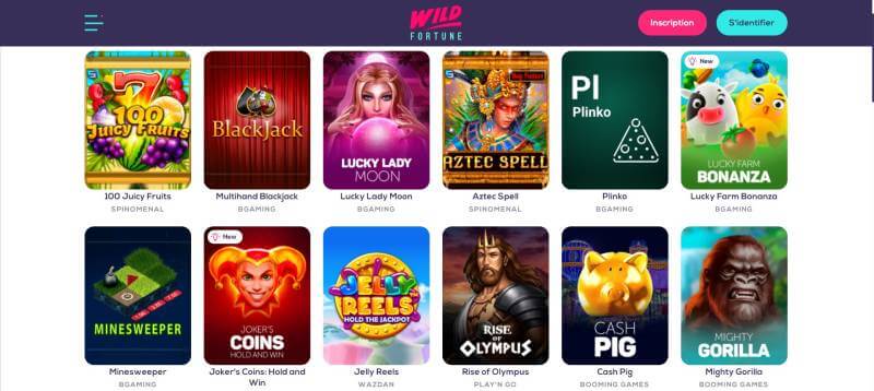 Wild Fortune Casino Slots